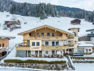 Appartement Sonne im Ferienhaus Johanna - Mayrhofen-Hippach- In der Nähe von der Skipiste - Hippach - 0