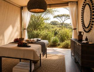 Mereshi Safari Camp Serengeti, Autograph Collection - 2