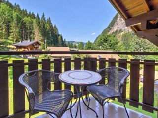 Ardoisiere Apartment - Snow and Trek - Morzine - 2
