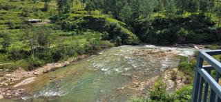 Ganga nature nest - 3