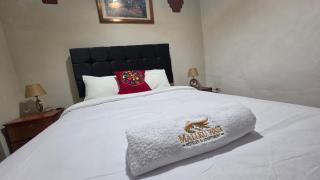 CASITA Matara - 8