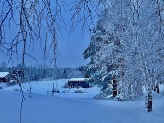 Debesų Slėnis - A space for training, camps, and experiences - 3