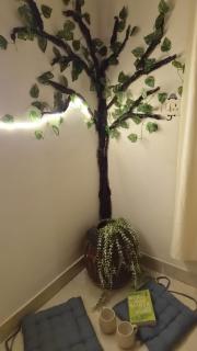 2 BHK Stay in Rohini, Delhi - 2