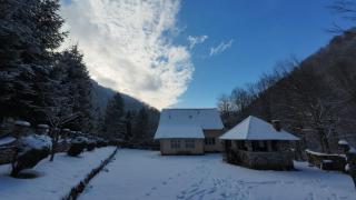 Casa de vacanta Julius - 1