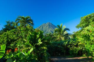 Arenal Rainforest - 0