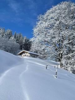 Ferienwohnung Landhaus zum Sonnenschein - 0