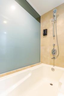 Luxury apartment Icon Vallarta Private beach spa - 5