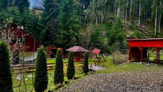 Cabana SVA Bilbor - Bilbor - 7