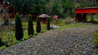 Cabana SVA Bilbor - Bilbor - 8