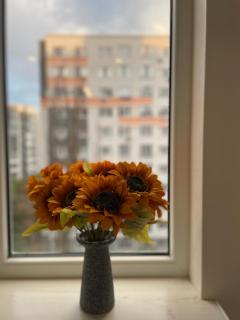 Short-term rental - 7
