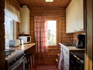 Log cabin on the banks of Ounasjoki River - 3