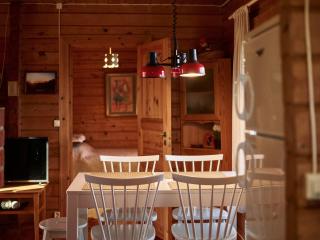 Log cabin on the banks of Ounasjoki River - 6