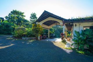 Arenal Rainforest - 1