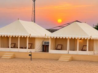 Desert cactus camp Jaisalmer - 0