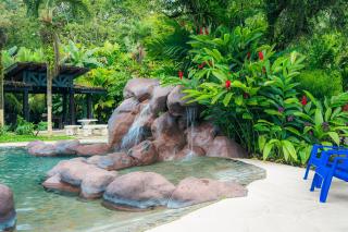 Arenal Rainforest - 2