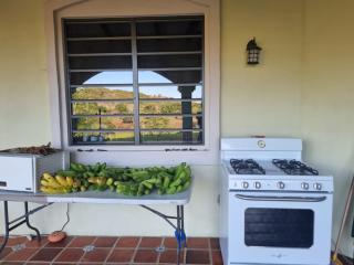 Farmhouse, Maya Mtn Foothills View, 5 mins Pineridge - 8