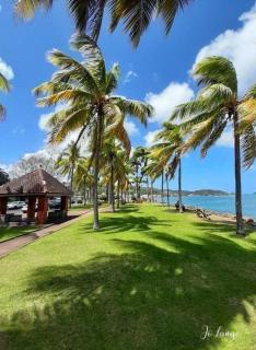 madinina - 5