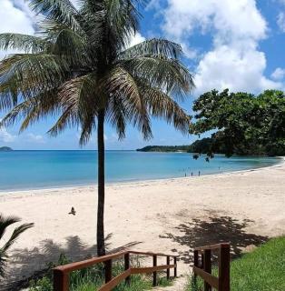 madinina - 4