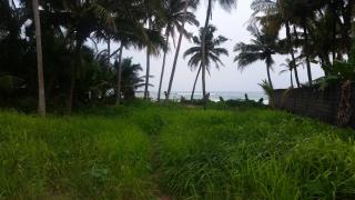 Blue Waters - Matara - 7