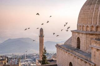 mardin marions suits - 5