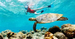 Makena Surf - CoralTree Residence Collection - Wailea - 3