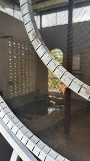 Personal Retreat, Soaking Pool, and Food Forest - 9