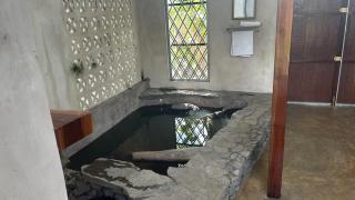 Personal Retreat, Soaking Pool, and Food Forest - 5