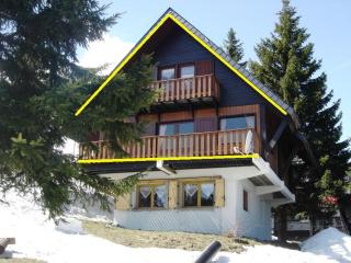 Grand appartement dans chalet au pied des pistes 80m du télésiège des Bouleaux - 0