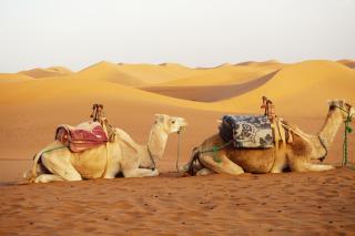 Dar Nomad Tagounite - 4