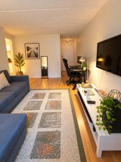 Fully equiped apartment in Mont Royal - 9