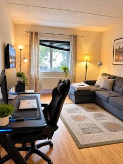 Fully equiped apartment in Mont Royal - 5
