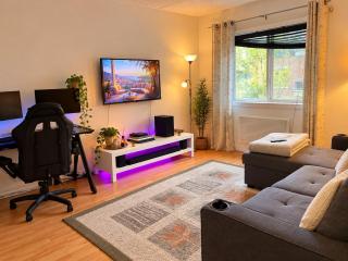 Fully equiped apartment in Mont Royal - 2