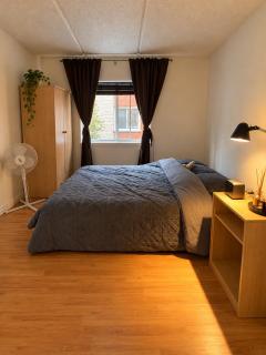 Fully equiped apartment in Mont Royal - 1
