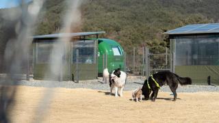 Yangyang Lira Camp - 1