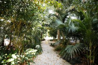 Romantic, Swimming Pool, Breakfast, Free Airport Pickup - 4