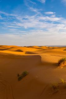 The Velvet Dunes Luxury Desert Camp In Jaisalmer - 7