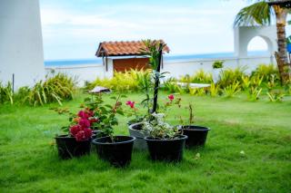 Dutch Bay Beach Villa - 4