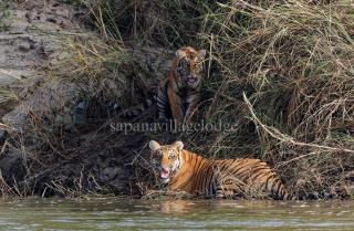 Sapana Village Lodge - 9
