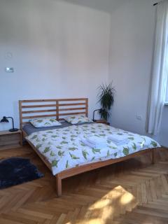 Pirc apartment on Dunajska street - 1