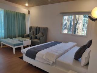 The Deodar Stays - 9