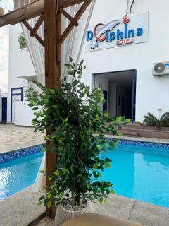 Dolphina Dahab hotel - Dahab - 7