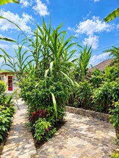 Kijani stone residence - 5