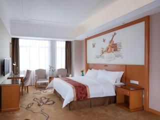 Vienna Hotel Guangdong Dongguan Chengnan Station - Dongguan - 9