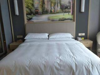 Vienna Hotel Anhui Lujiang International Building Materials Market Wuzhong - 1