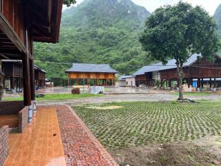 Công viên trà hoa vàng Ninh Bình - 1