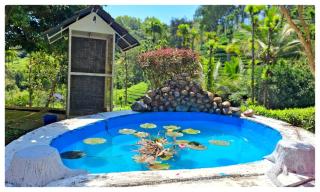 Hotel Wayanad Gate - Wayanad - 6