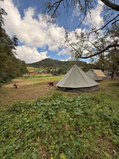 Glamping en la mejor zona de Patzcuaro - 3