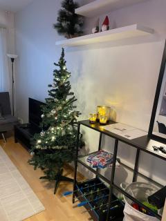 Entire Apartment - Rovaniemi City Centre - Private Sauna - Free WiFi - 8