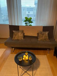 Entire Apartment - Rovaniemi City Centre - Private Sauna - Free WiFi - 6