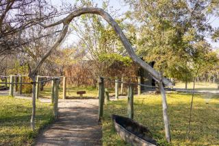 Jamy Traut Safaris - 6